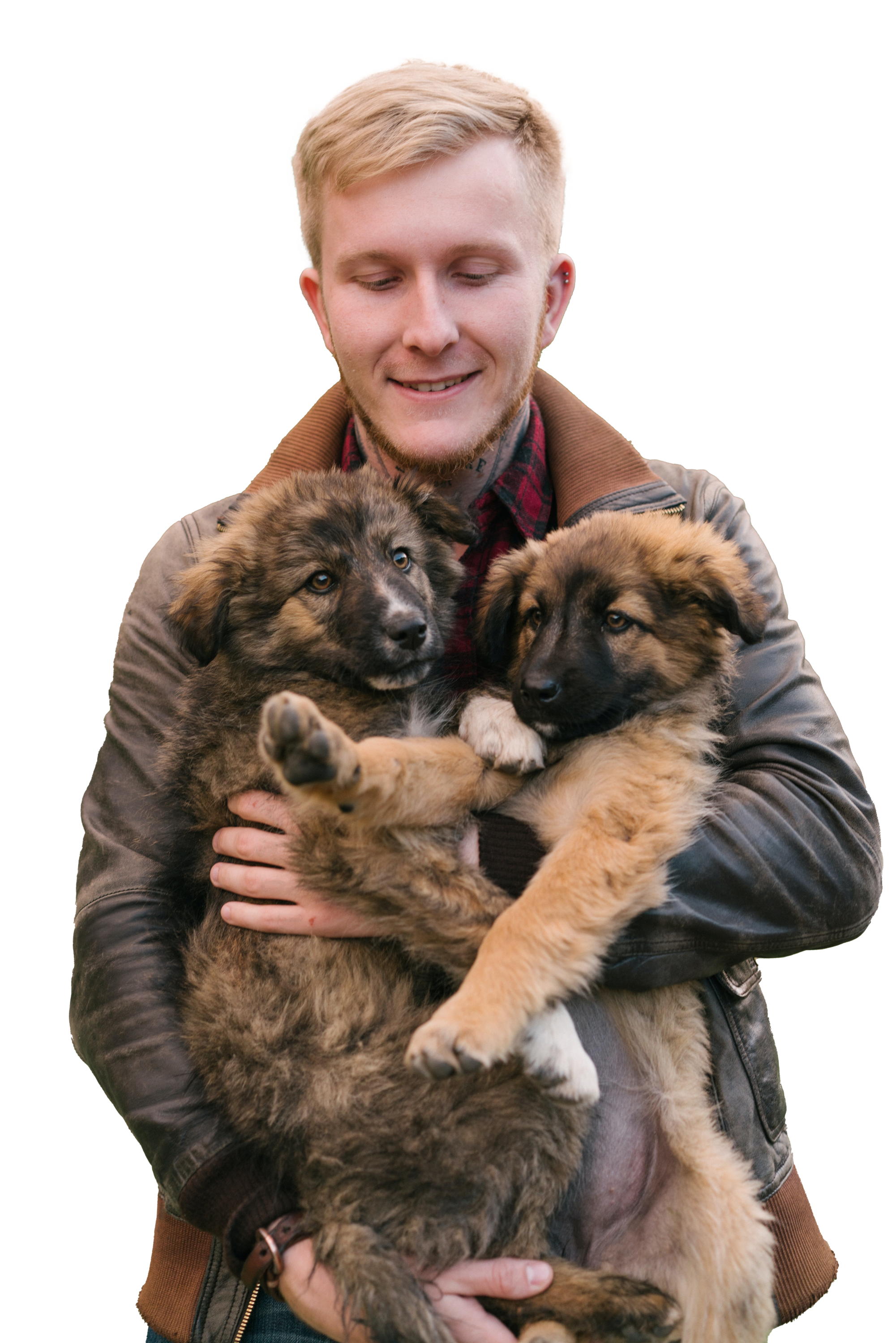 Vétérinaire Versoix, Veterinaire Versoix, Versoix Veterinaire, Versoix Vétérinaire, cabinet vétérinaire versoix, cabinet veterinaire versoix, clinique vétérinaire versoix, vétérinaire de Garde Versoix,veterinaire de Garde Versoix, Cabinet Vétérinaire International