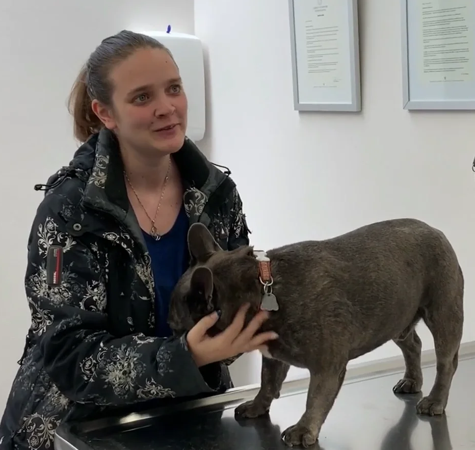 Vétérinaire Versoix, Veterinaire Versoix, Versoix Veterinaire, Versoix Vétérinaire, cabinet vétérinaire versoix, cabinet veterinaire versoix, clinique vétérinaire versoix, vétérinaire de Garde Versoix,veterinaire de Garde Versoix, Cabinet Vétérinaire International